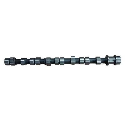 CRANK SHAFT ASSY - 2410042501