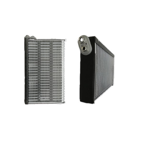 EVAPORATOR HINO / ISUZU - 447600-8080