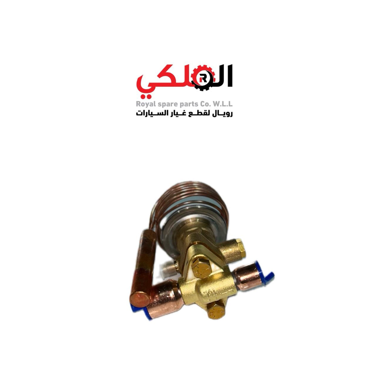 EXPANSION VALVE - K406224