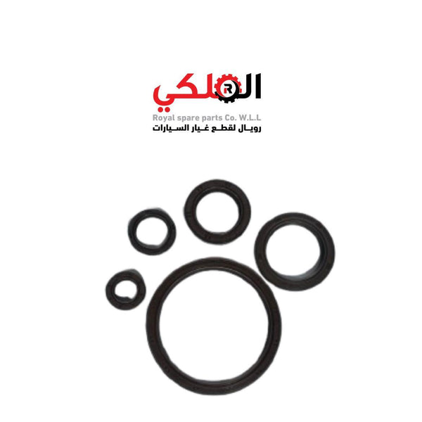 OIL SEAL KIT - 2132142021